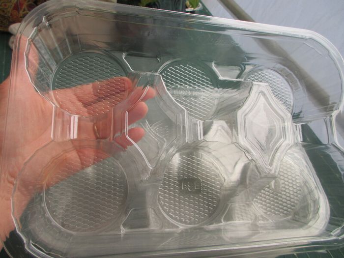 Clear Plastic Trays