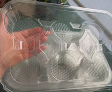 Clear Plastic Trays