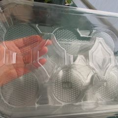 Clear Plastic Trays