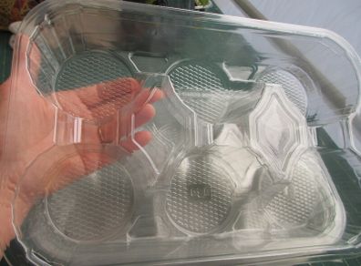 Clear Plastic Trays
