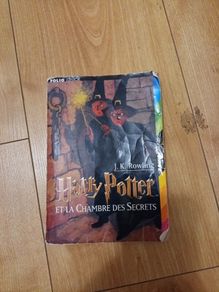 Harry Potter french book