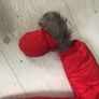 pram suit Image 3