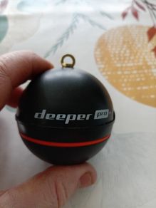 Deeper pro and boat mount