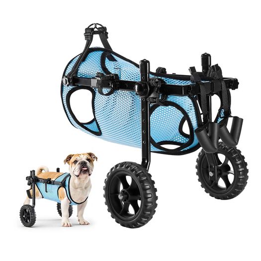 Dog Wheelchair for Back Legs support
