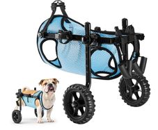 Dog Wheelchair for Back Legs support