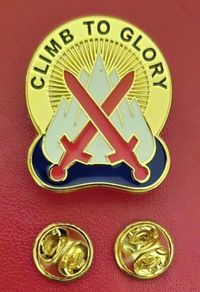 Us 10th mountain division, unit badge.