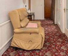 Riser Recliner Electric Armchair