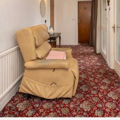 Riser Recliner Electric Armchair