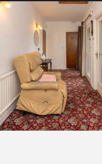Riser Recliner Electric Armchair