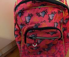 Trolley School bag (on wheels, very sturdy)