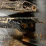 Digging bucket teeth Image 2