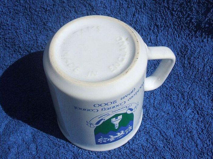 WICKLOW COUNTY COUNCIL YEAR 2000 (municipal coat-of-arms) - a sacrce commemorative mug issued for the 2000 Millennium
