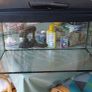 PRICE DROP!!!fish tank 54 l with filter, heater etc Image 2