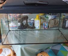 fish tank aquarium 54 litre with filter, heater etc
