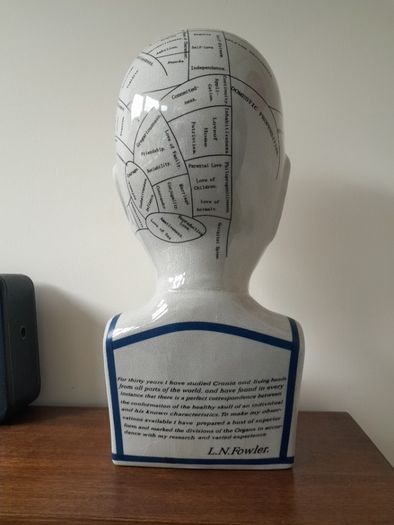 L.N. Fowler Phrenology Head 40cm