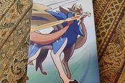 Switch Pokemon Sword Steelbook -case only no game