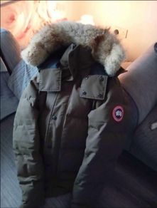 canada goose Wyndham parka