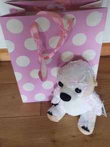 Goshe Glitzie Soft Toy and Gift Bag