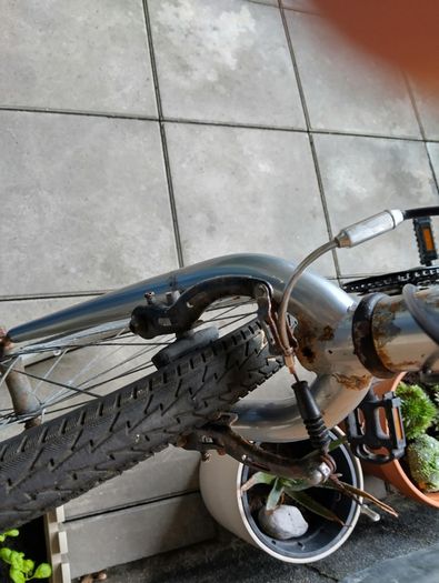 Apollo bike