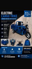3 wheeled 24 volt electric mobility scooter tuktuk
