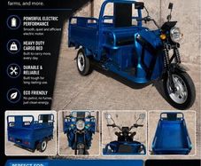 3 wheeled 24 volt electric mobility scooter tuktuk