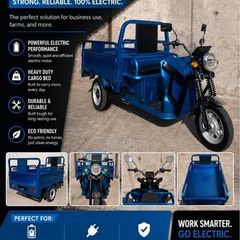 3 wheeled 24 volt electric mobility scooter tuktuk