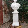 Bust on plint Image 2