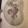 Chester  Beatty Library Dublin. Beautiful Illustrated  Giuide .in Good Condition. Image 10