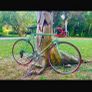 Beautiful vintage Peugeot bike Image 2
