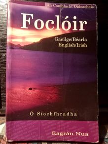 Focloir. Irish Dictionary.