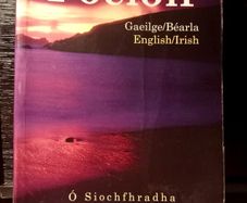 Focloir. Irish Dictionary.