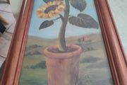 Lovely Framed Print Signed W . Darker - 1899 Sunflower Floral Print In Tall Pine Wood Frame.