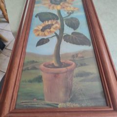 Lovely Framed Print Signed W . Darker - 1899 Sunflower Floral Print In Tall Pine Wood Frame.