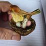 Small Ceramics Image 2