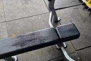 2 commercial flat bench nautilus brand