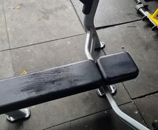 2 commercial flat bench nautilus brand