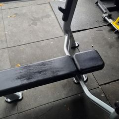 2 commercial flat bench nautilus brand