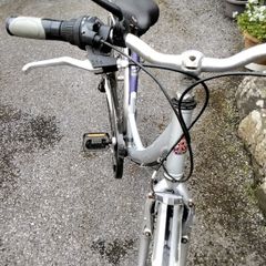 Raleigh Bike (ladies)