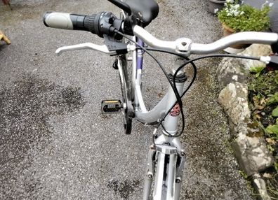 Raleigh Bike (ladies)