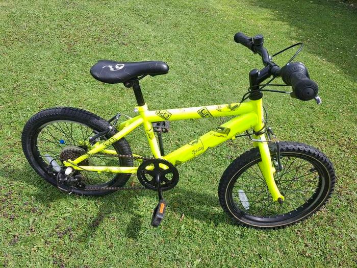 Raleigh bike 16 inch