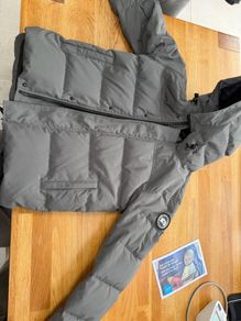 Canada goose