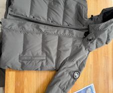 Canada goose