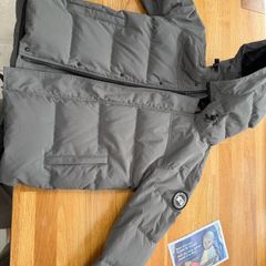 Canada goose