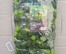 Trellis