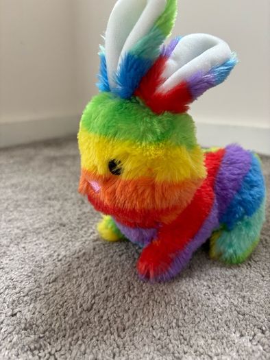 bunny