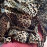 Leopard Print Jacket Image 5