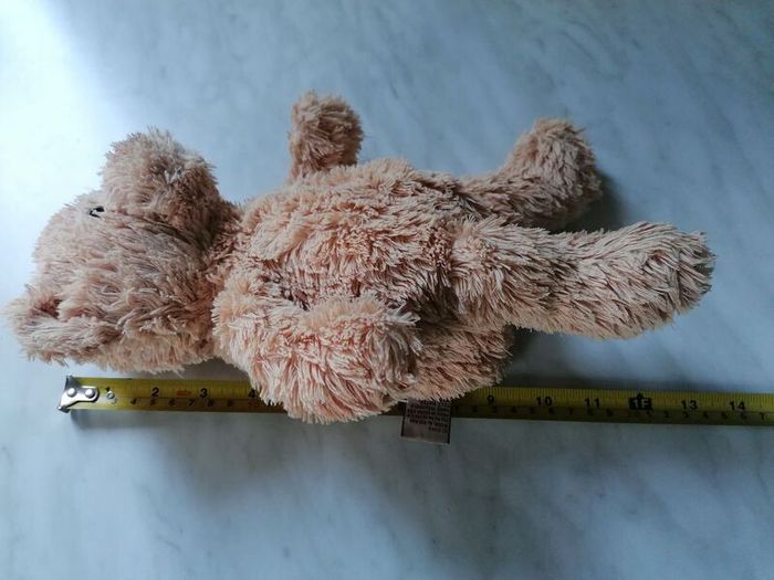 Teddy Bear
