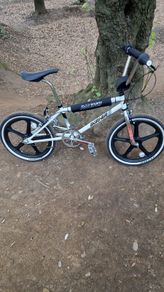 Raleigh burner
