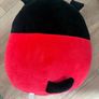 Large squashy Image 2