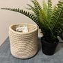 Artificial potted plant + Basket Image 2